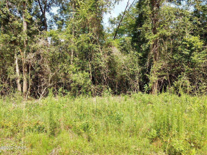 Great place to build your new home. Approx. 5 acres.  Property fronts on two roads. Property is mostly wooded will some large trees for shade. The back side of property fronts on a large pond area.