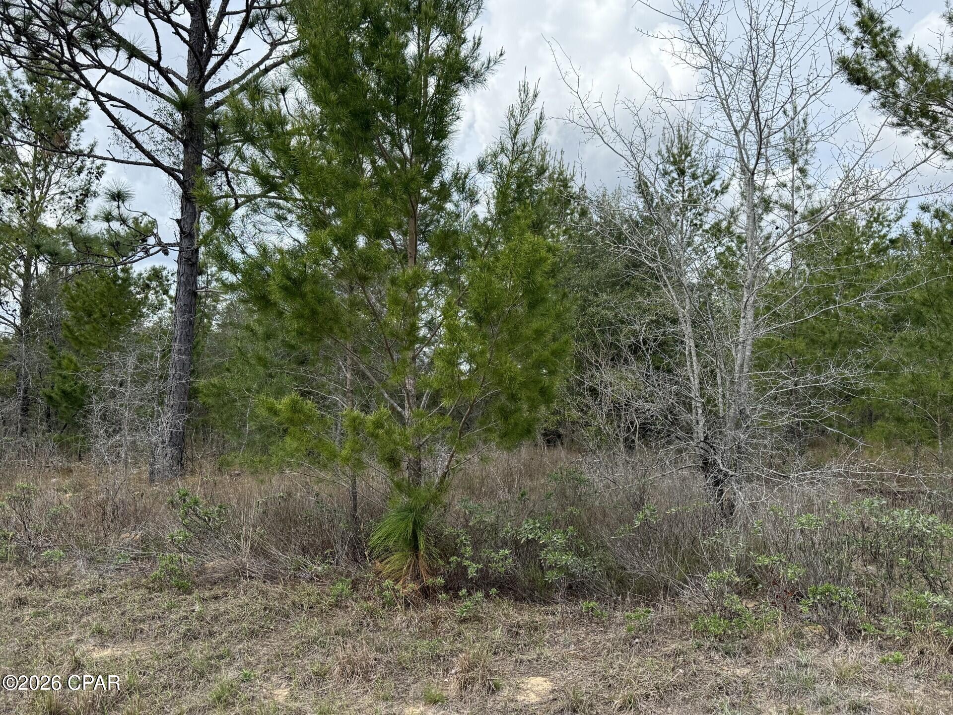 Sunny Hills Unit 4 - Land