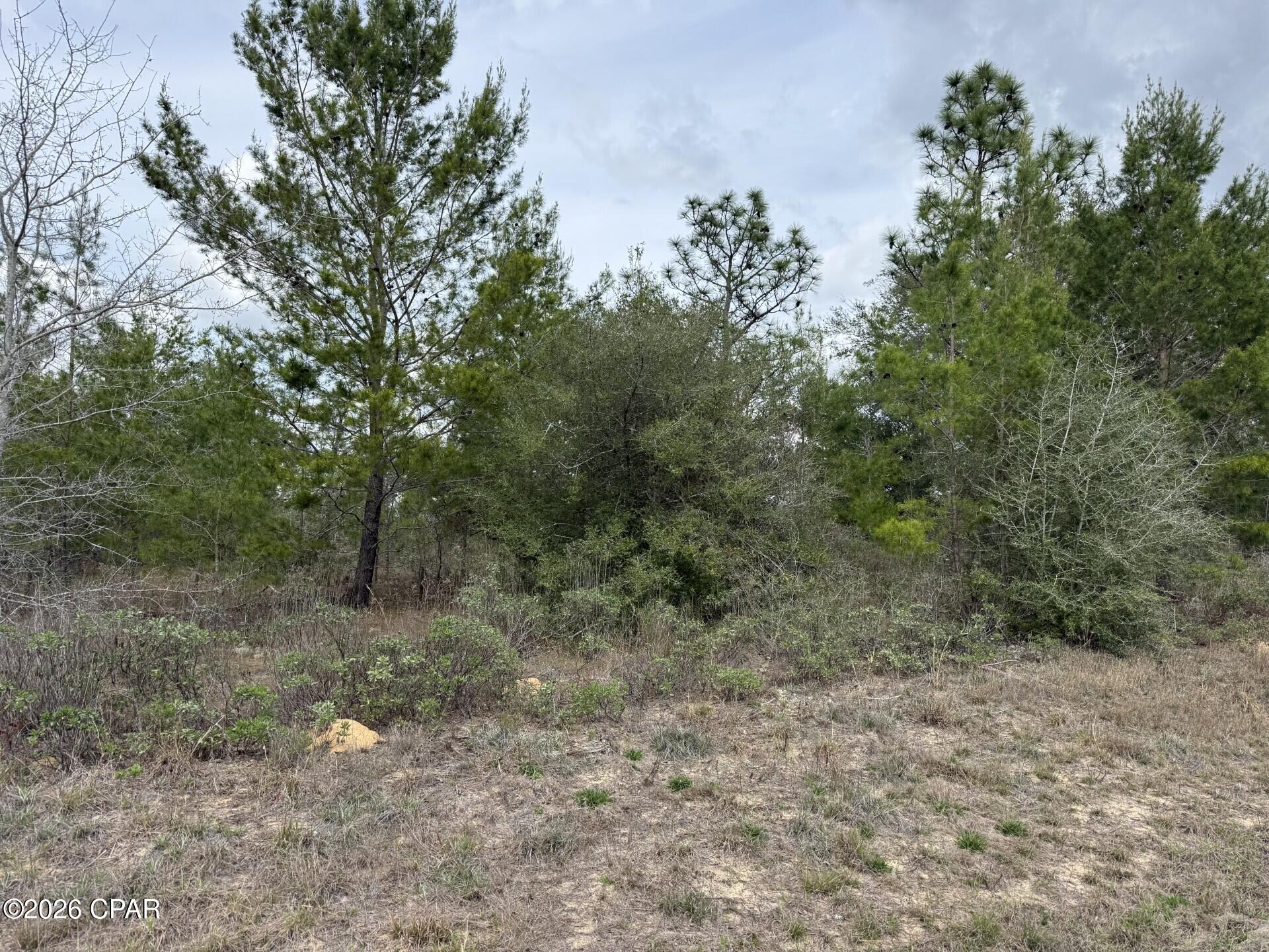 Sunny Hills Unit 4 - Land