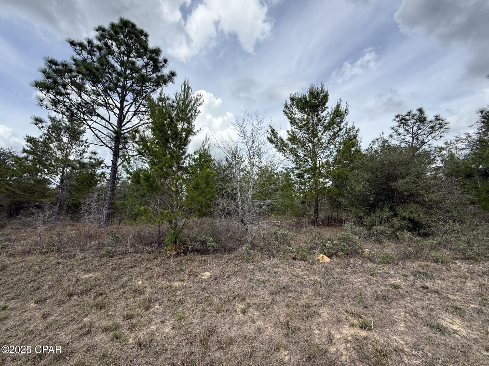 Sunny Hills Unit 4 - Land