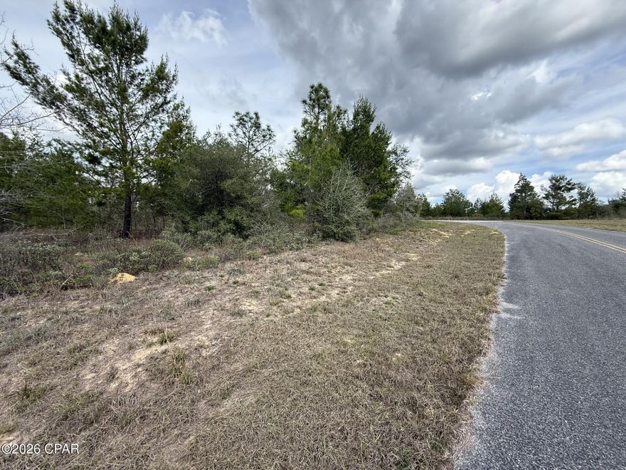 Build your future in the growing community of Sunny Hills with this 0.179± acre vacant parcel located in Washington County. This lot sits next to another available property, offering the unique opportunity to purchase both parcels for added space, privacy, or a larger homesite. Sunny Hills is known for its peaceful setting and natural beauty while still being conveniently located near the town of Chipley and about a 45-minute drive to Panama City Beach. The community features an 18-hole public golf course, Boat Lake with a swimming beach, parks, and other outdoor recreational opportunities. Whether you're looking to build a home, expand your property footprint, or invest in land in a developing area, this parcel offers excellent potential in a well-established neighborhood.