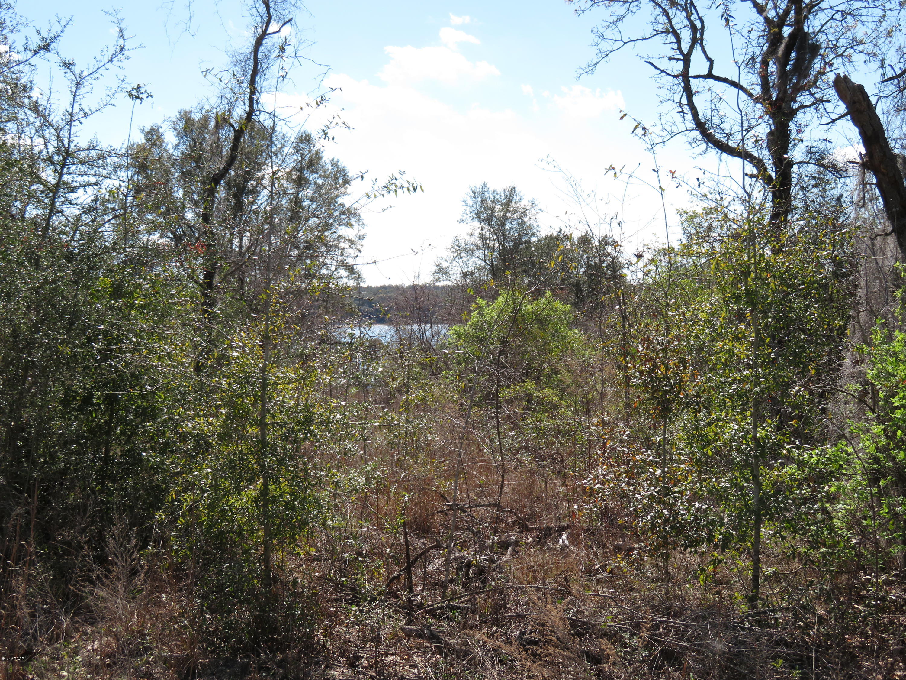 Leisure Lakes - Land