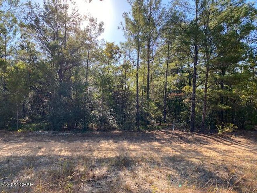 This .358 acre property is perfect for a home or trailer.  Located half way between DeFuniak Springs and Crestview, FL  and near an I10 exit.  

Water, septic, and electric needed.