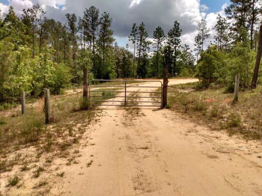 *Currently under contract. Accepting backup offers.* 20 acres of land located near Marianna, and less than an hour away from the beautiful beaches of Panama City! This property has been cultivated with 10 ac of Longleaf and Slash pine (2011), 10 fig trees, 5 pomegranate trees, 18 grapevines (5 mature and bearing) and 14 olive trees. The 3.5 ac prepared and fenced home site sits at 168 feet above sea level, the high point of the property--great views! The land sits behind two gates--the first from PH Road, the second from deeded access road. Road and home site prepared with dolomite (road base added with honeycomb and key erosion control system in 2014). 240 Foot STEEL CASE deep well was bored in 2013, and septic is present. Cement storm shelter. No power run to property currentl