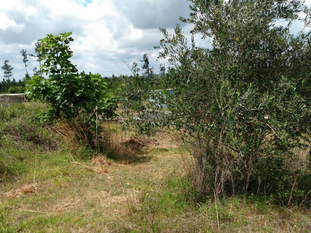 Compass Lake In The Hills - Land