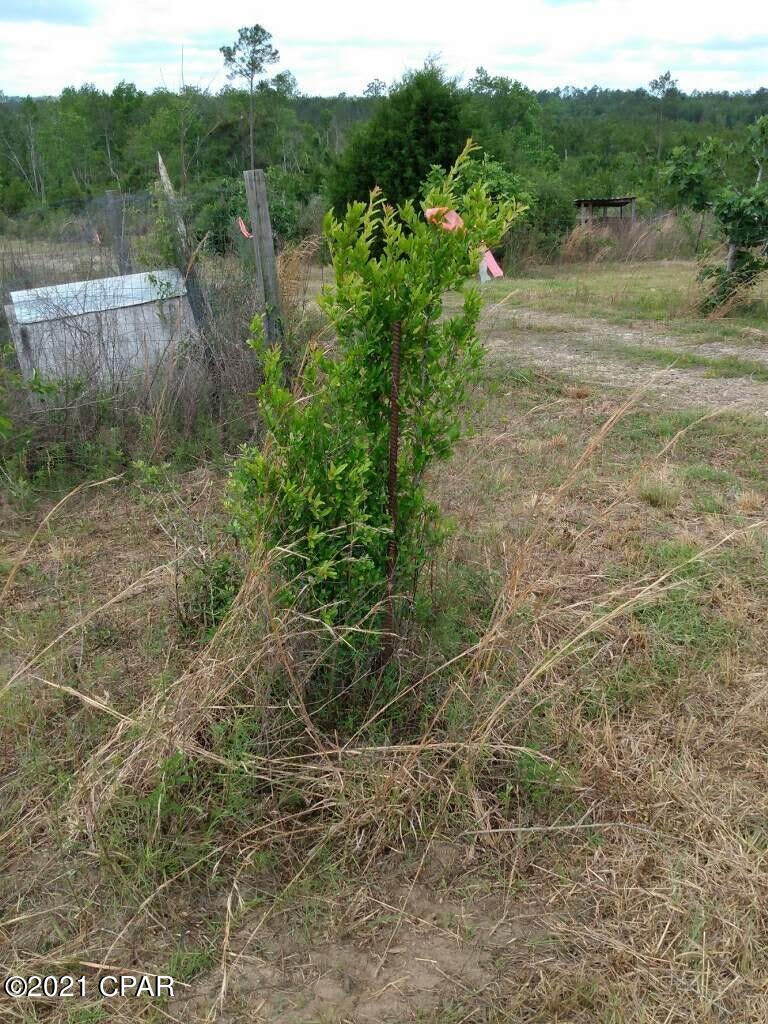 Compass Lake In The Hills - Land
