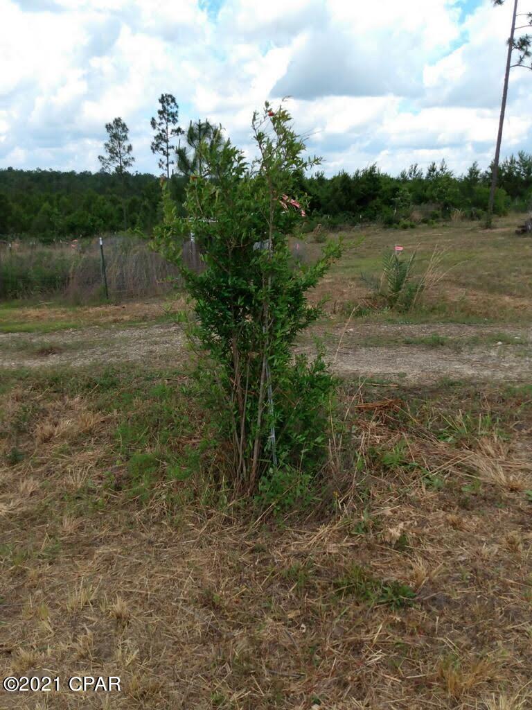 Compass Lake In The Hills - Land