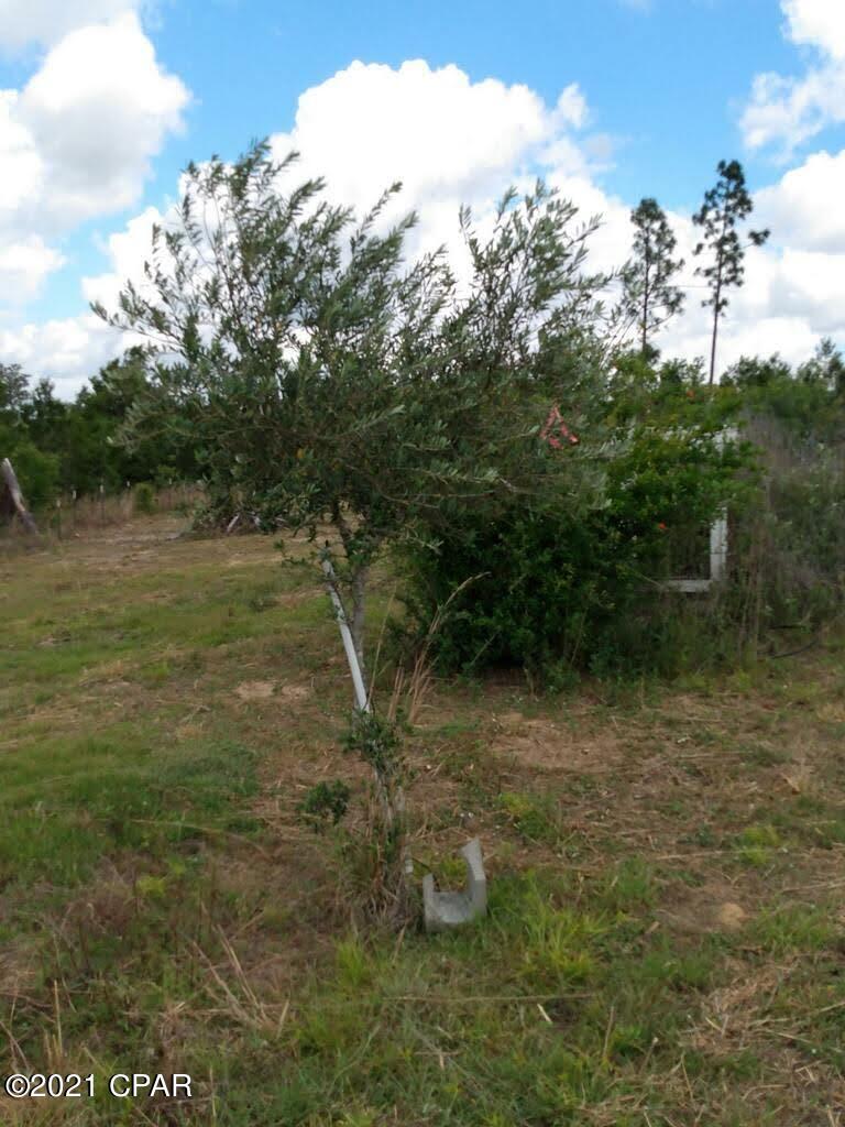 Compass Lake In The Hills - Land