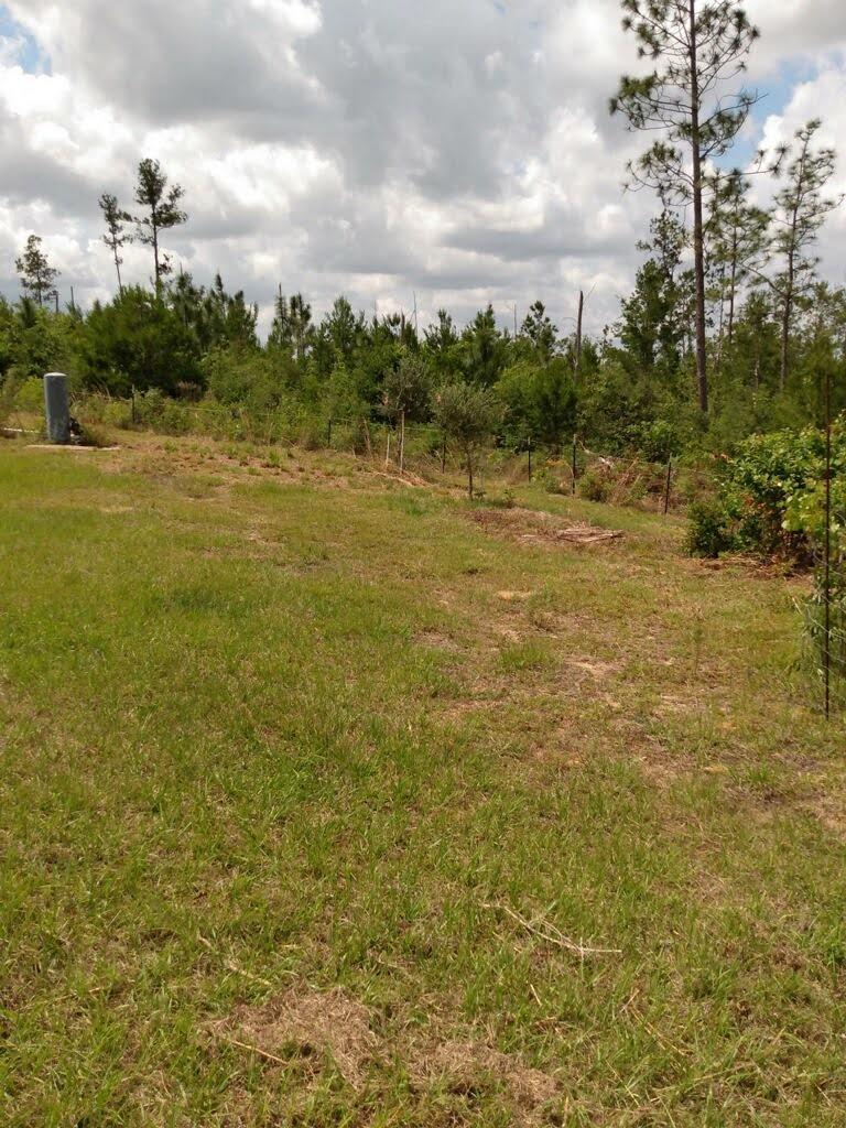 Compass Lake In The Hills - Land