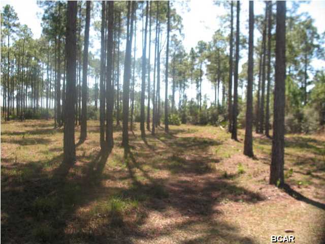 Rivercamps On Crooked Creek - Land