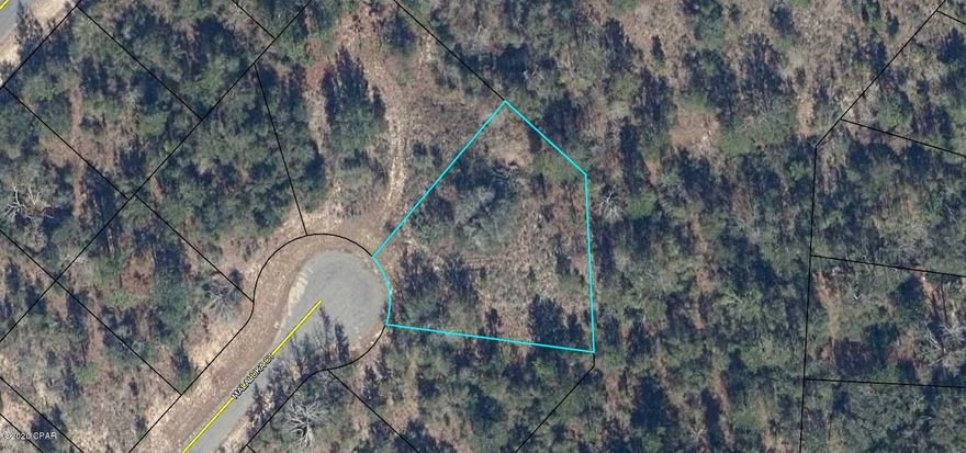 Oversized building lot at the end of a culdesac backing up to vacant Deltona land right off of Shenandoah Blvd! Sunny Hills is home to the county's first golf course and 26 lakes/ponds, including crystal clear Gap Pond and the well-known Boat Lake. There are 5 boat landings in the community for the fishermen. Deed restricted, but there is no HOA fee that applies. No mobile homes. Enjoy the slower pace of life this area has to offer and significantly lower taxes! Washington County is among the top five counties in the state of Florida that have the lowest property taxes. This lot is only a 20 minute drive from Chipley or Bonifay and about 45 minutes from Panama City Beach. In between there are several gas stations, convenient stores, and mom-and-pop restaurants