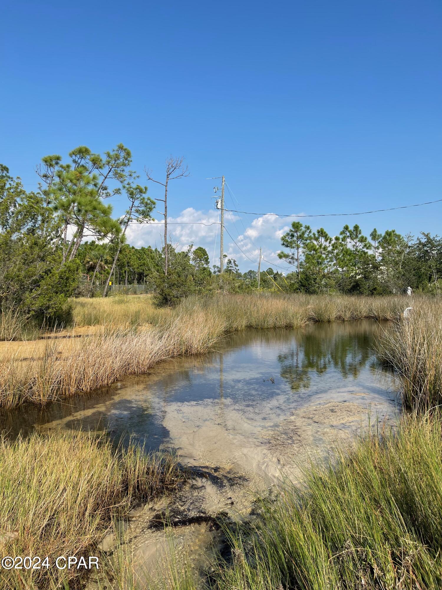 Carrie Bell Pt. - Land