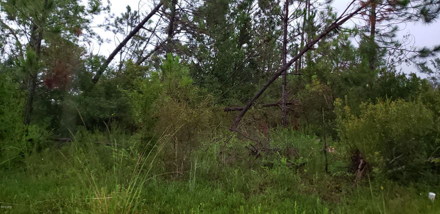 1/2 acre on paved road off of Resota Beach Rd in Southport. County water is available. Only a handful of neighbors on this small cul-de-sac.

Perfect for your dream home. Go take a look today!