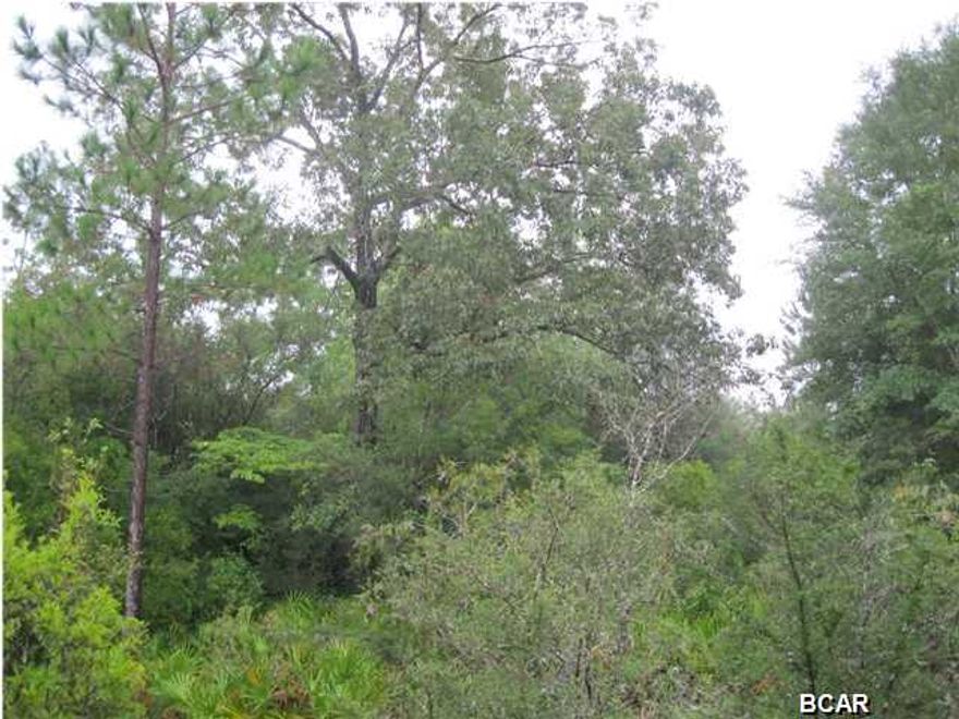 Beautiful timber tract with two creeks and rolling terrain. Road frontage on Normans Way and Quail Hollow Blvd., a county maintained graded dirt road. Mixed planted pines, hardwood and natural growth.