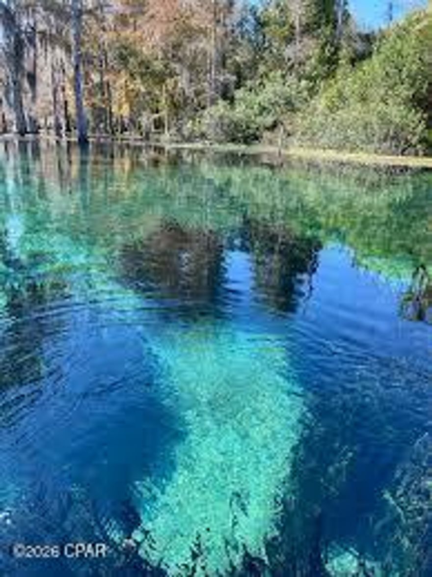 Discover 1.15 acres of beautiful, buildable land on Merritt's Mill Pond, a 202-acre, crystal-clear, spring-fed waterway in Marianna, Florida. This exceptional waterfront lot offers breathtaking turquoise waters, lush native vegetation, and unmatched access to world-class freshwater recreation. The pond is nourished by several springs, including the first-magnitude Jackson Blue Spring, and stretches about four miles, featuring an extraordinary underwater ecosystem and famous cave systems like Twin Caves that attract divers from around the globe. Build your dream home with sweeping water views, potential dock access, and direct opportunities for boating, kayaking, scuba diving, fishing, and peaceful sunsets. Experience a serene Florida lifestyle while staying within reach of Marianna's conveniences, schools, shopping, and local attractions. A rare chance to own a slice of one of the Gulf Coast's most captivating freshwater destinations. Please verify buildability and permitting with local authorities. Contact us for more details and to schedule a viewing.