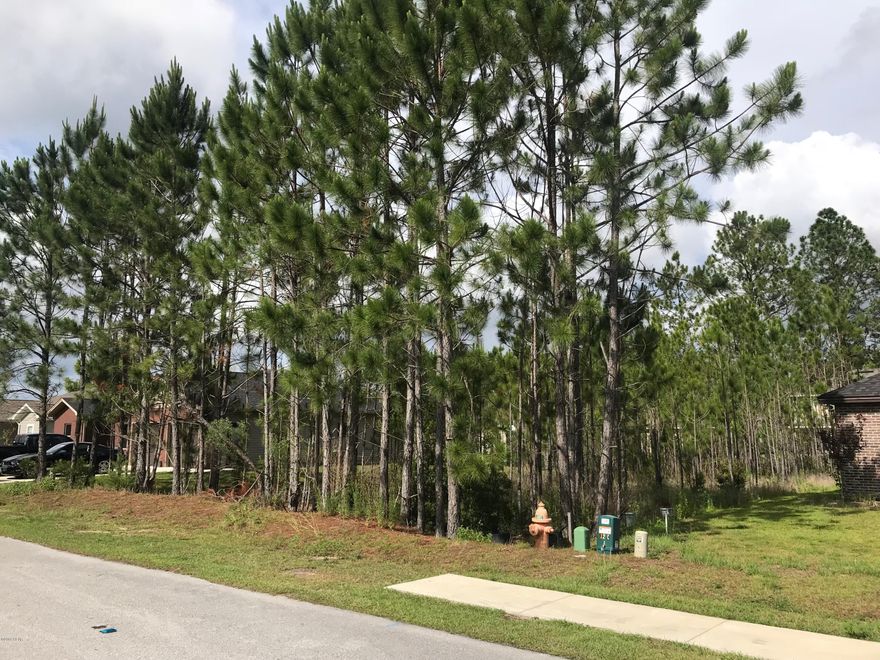 Great building lot in this well established neighborhood in Cherokee Heights Subdivision. There are many new homes being built now and over the last few years with most homes being built year 2000 and up. Shannon Lane is a cul-de-sac street with 17 lots and approximately 14 houses built. This subdivision has all underground utilities. There are two schools in the neighborhood, Tommy Smith Elementary and Merritt Brown Middle School. This lot is not in a flood zone.