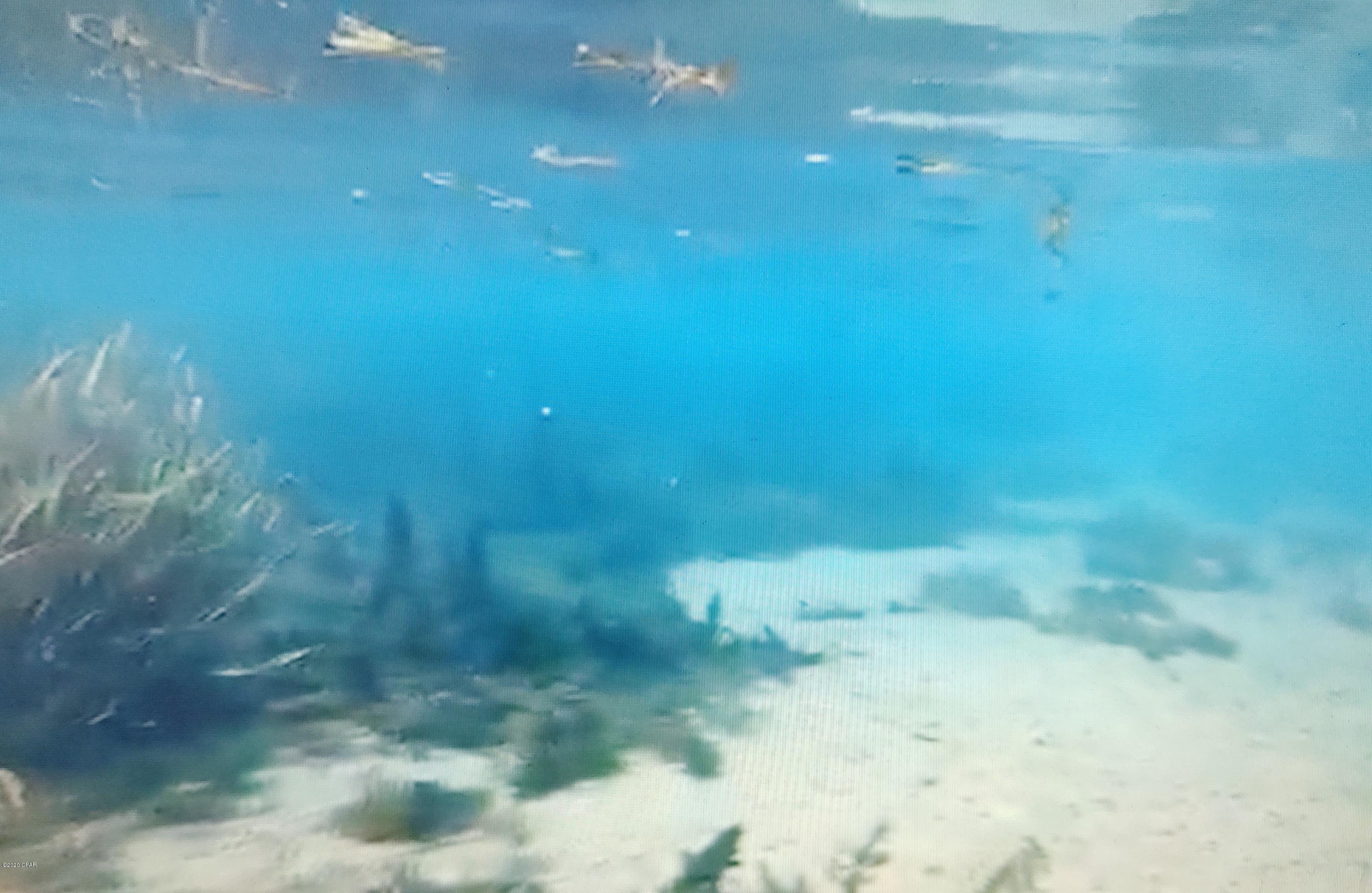 Spring Chase - Residential