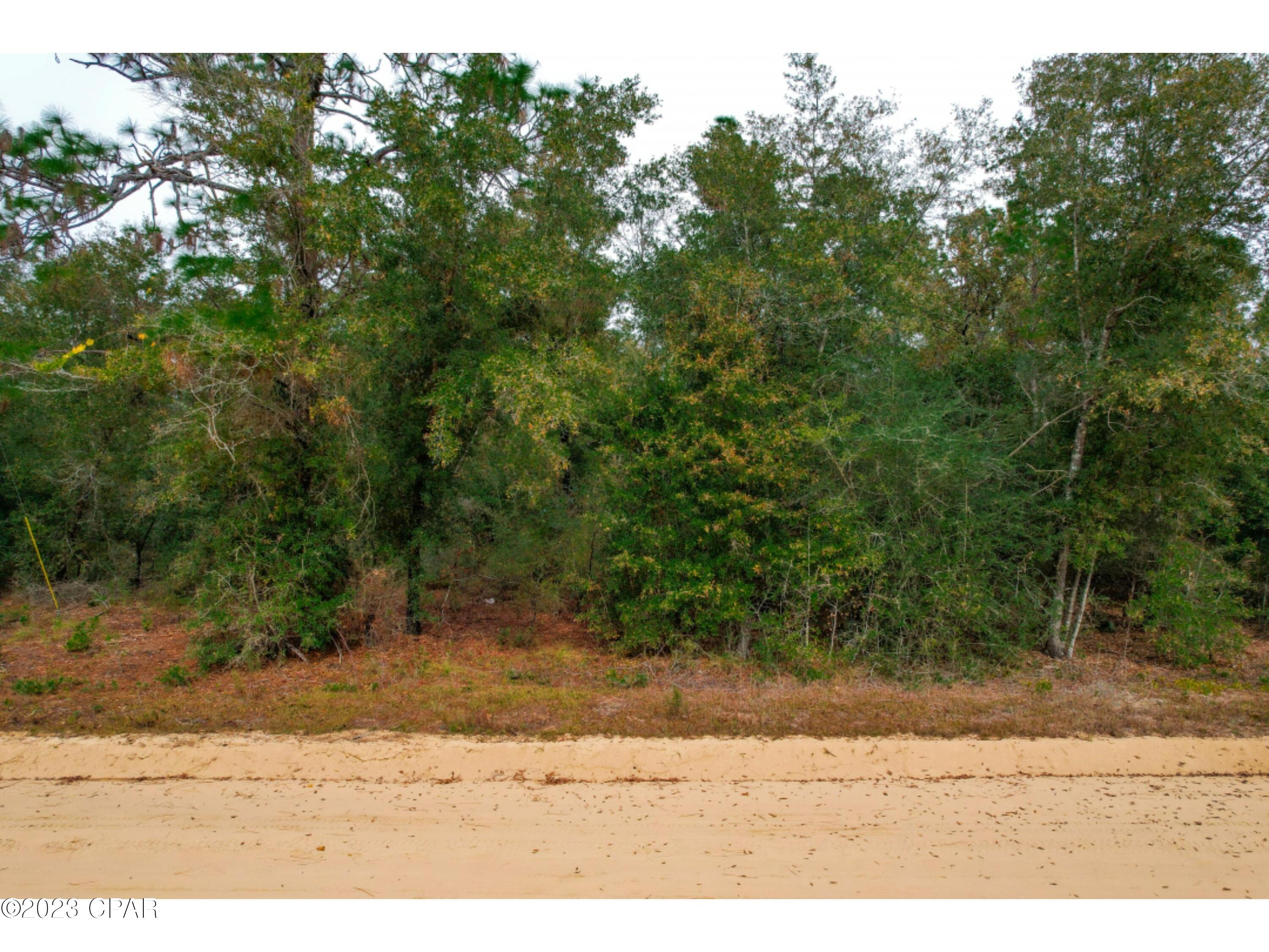 Bay County Estates Unit 1 - Land