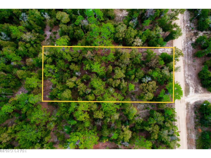 Explore the potential of this 0.067-acre land, perfectly situated in a fast-growing community. This vacant lot is an ideal canvas for your bespoke residence or an innovative residential endeavor. Its advantageous location, close to Highway 231, offers convenient access to necessities including supermarkets, equestrian paths, and the tranquil Econfina Springs. Envision your future just a 30-minute journey from Interstate 10 and less than an hour's drive from the exquisite, ivory sandy shores of Panama City Beach. This plot is more than just land; it's a stepping stone to your aspirations, crafting a family haven. This is your opportunity to acquire a slice of in-demand real estate in a thriving region. Embark on the path to making your dream a reality.