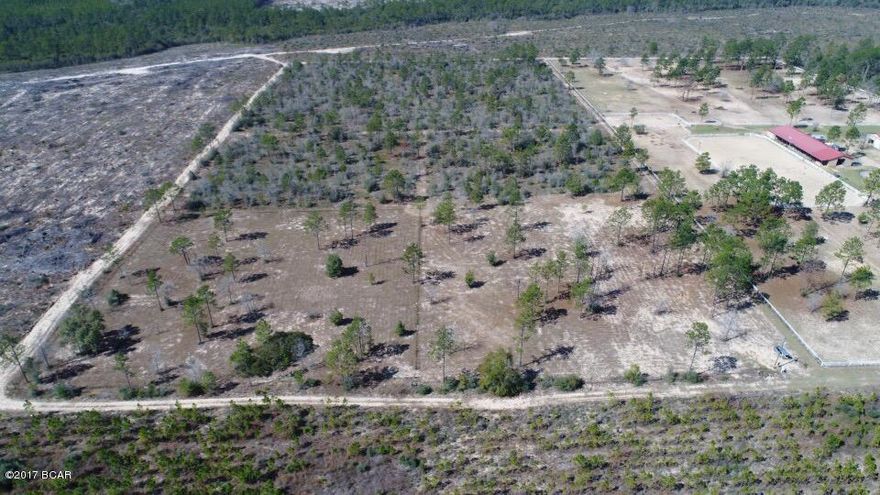 Here is a beautiful 20 acre parcel of land.  The property is just south of Hwy 20 and located right off Hwy 231.  It is conveniently located and is only a short 30 minute drive to Panama City Mall.  Five acres of the property has already been cleared for your new home.  The property has a power pole in place and has a 2 1/2 acre fenced pasture for your horses.  This is a great piece of land for only $4500 per acre.