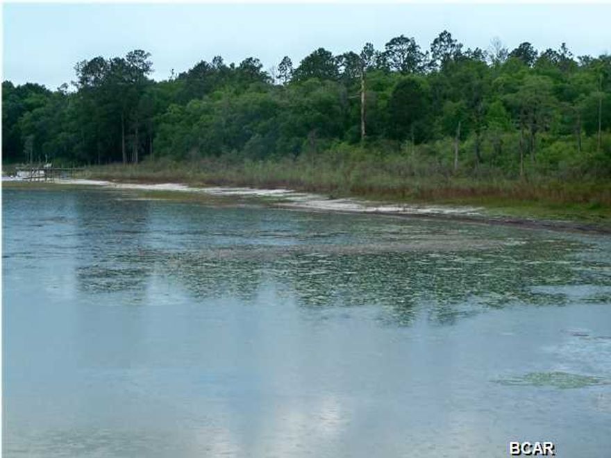 Over 3 Acres on spring fed Lucas Lake! Seller motivated, bring us an offer. This lot has beautiful oak trees with 165 feet of lake front. Public Boat Launch which will allow use of your jet skis and boats. You also have access to Lake Hicks and Stewart Lake. Lucas Lake road is now paved.  Please do not miss the opportunity to own this large parcel lakeside! Start planning your family gateways! Survey available. Seller related to Listing Agent