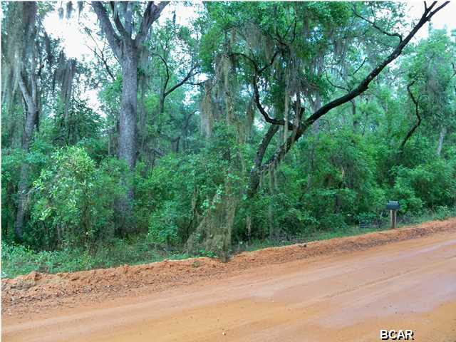 Lucas Lake Retreat - Land