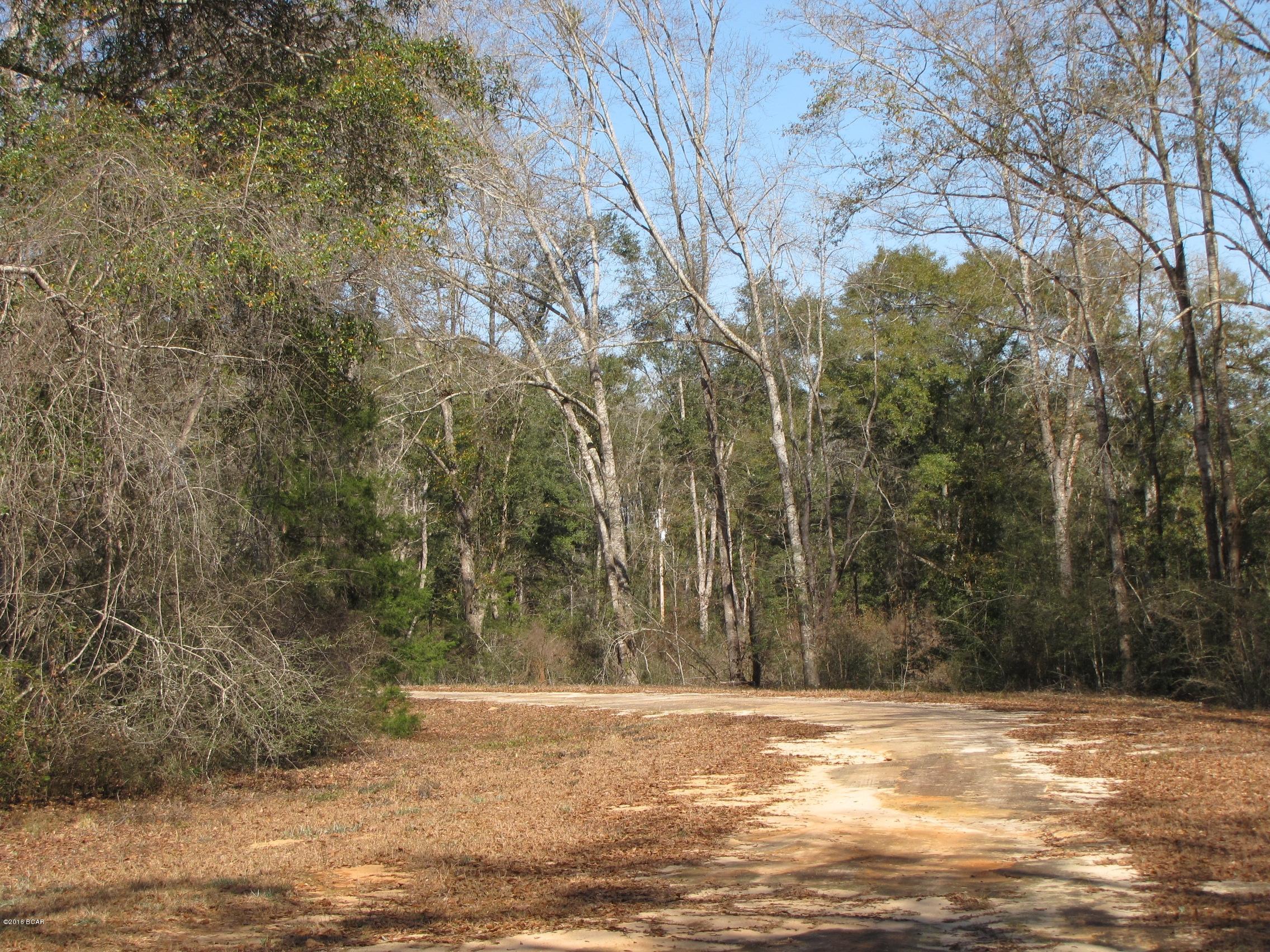 Compass Lake In The Hills - Land