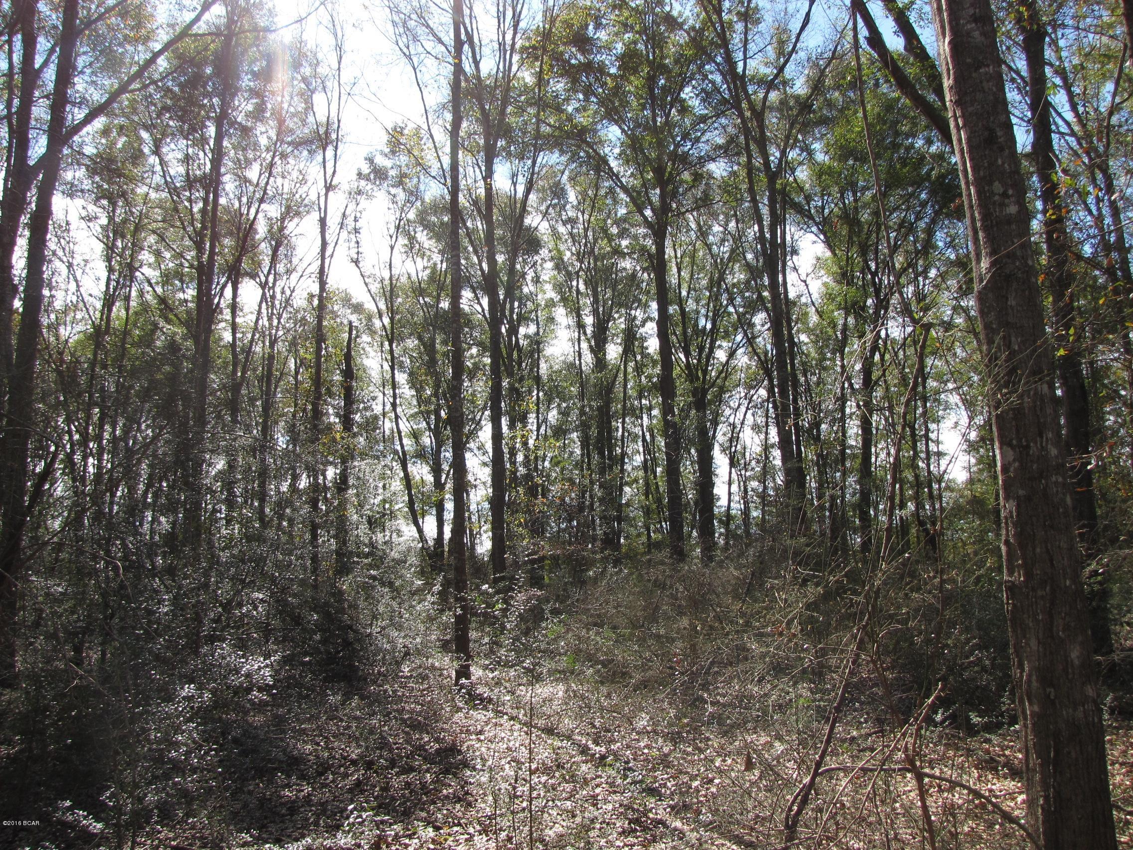 Compass Lake In The Hills - Land