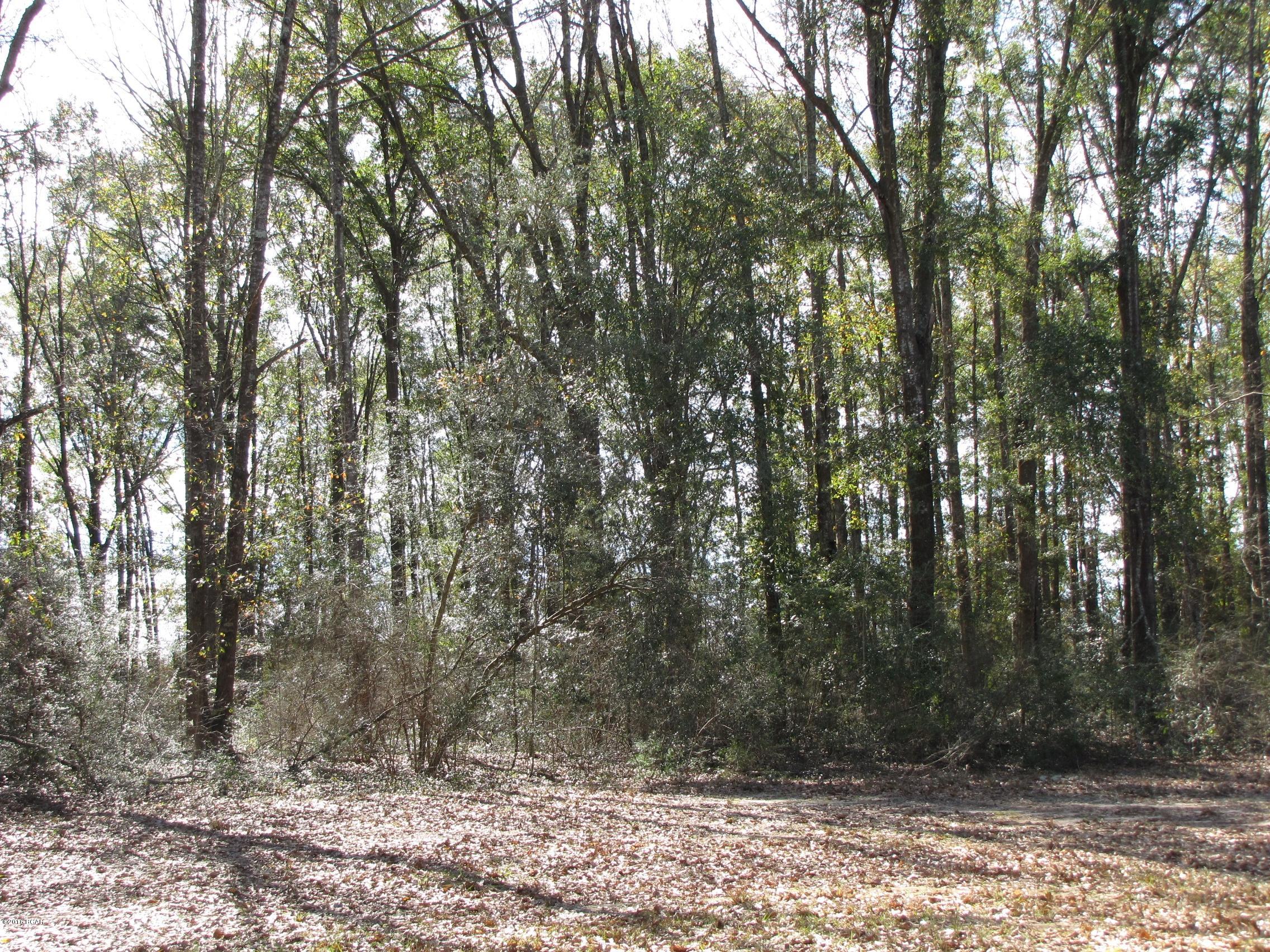 Compass Lake In The Hills - Land