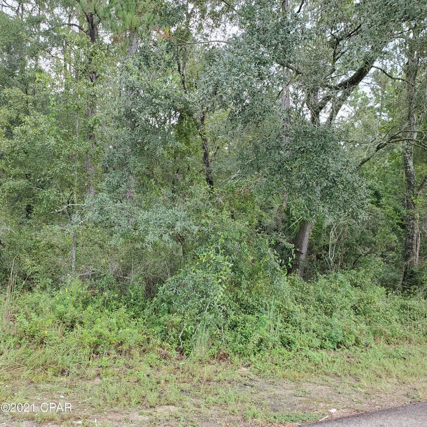 Residential lot in town ,close to everything, build a home,bring in single wide or double wide mobile home.Lot is wooded and on  City paved road.So city water and sewer is available. Lot has been survived and flags are up.Call today for more information.
