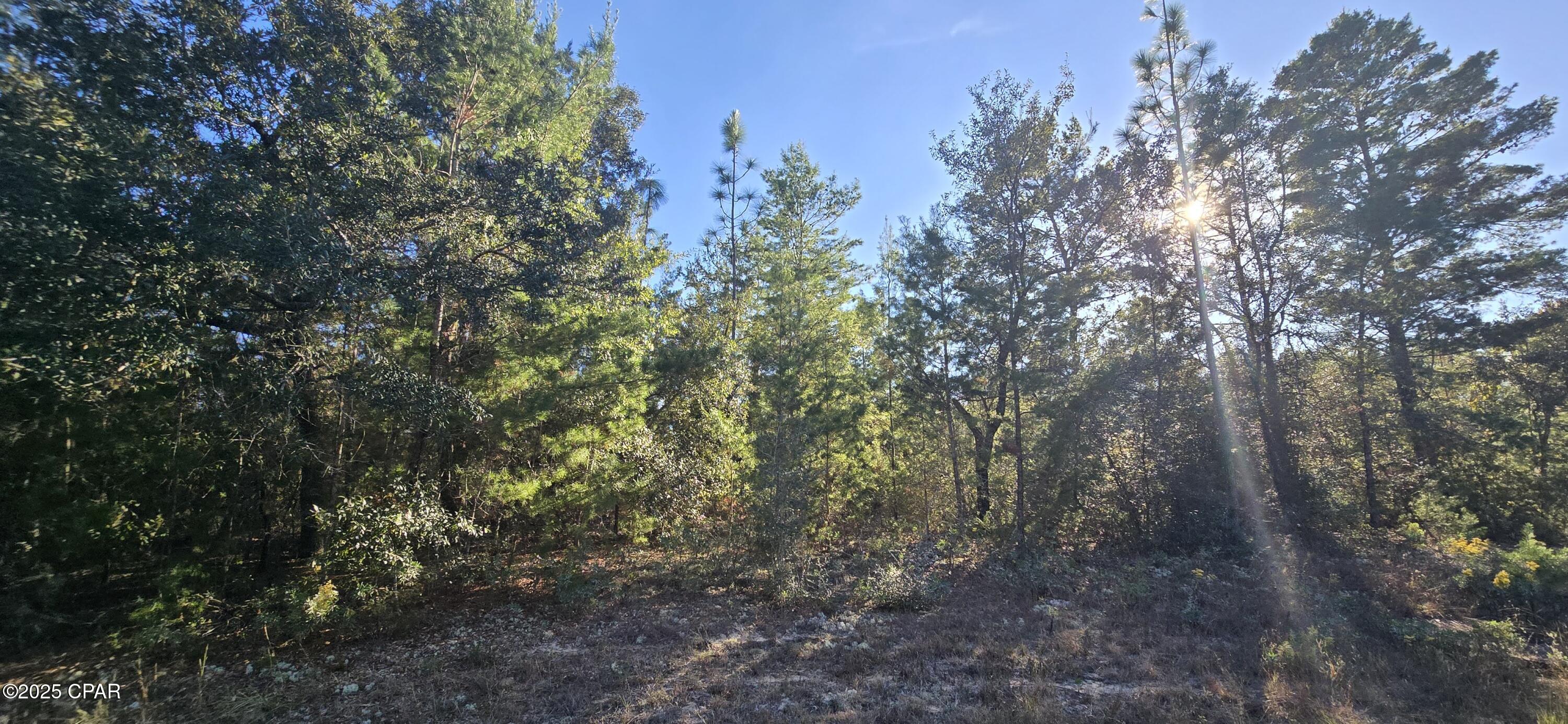 Sunny Hills Unit 3 - Land