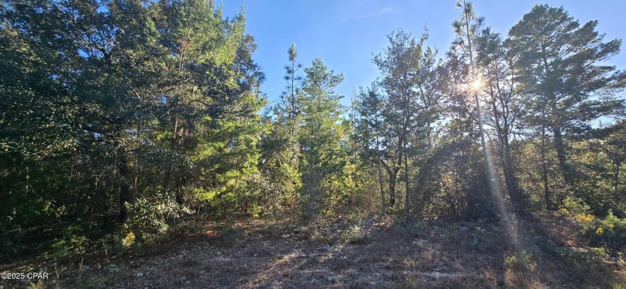 Discover the perfect spot to build your dream home or investment property in the growing community of Sunny Hills. This vacant parcel offers a solid foundation for your future plans, with plenty of room to design the layout and lifestyle you envision.