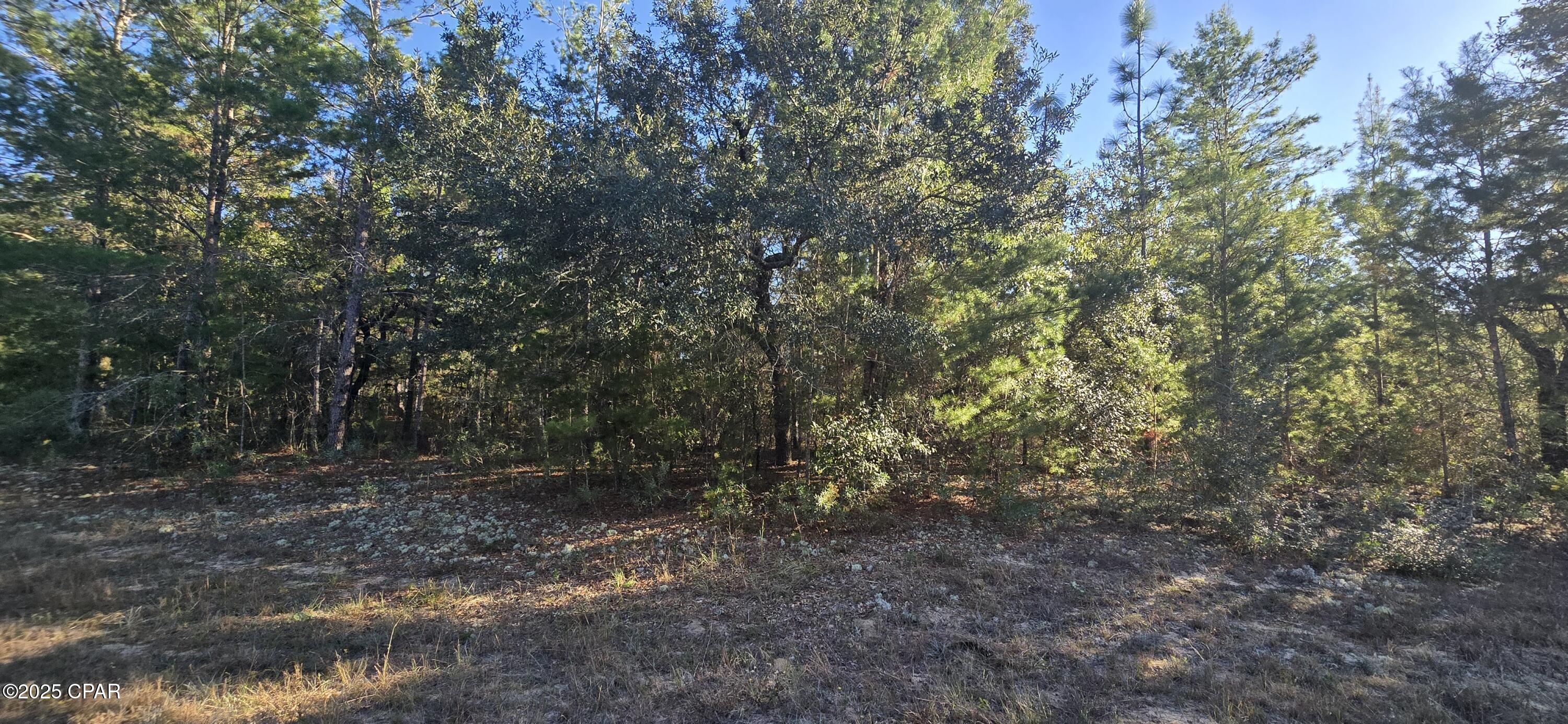 Sunny Hills Unit 3 - Land