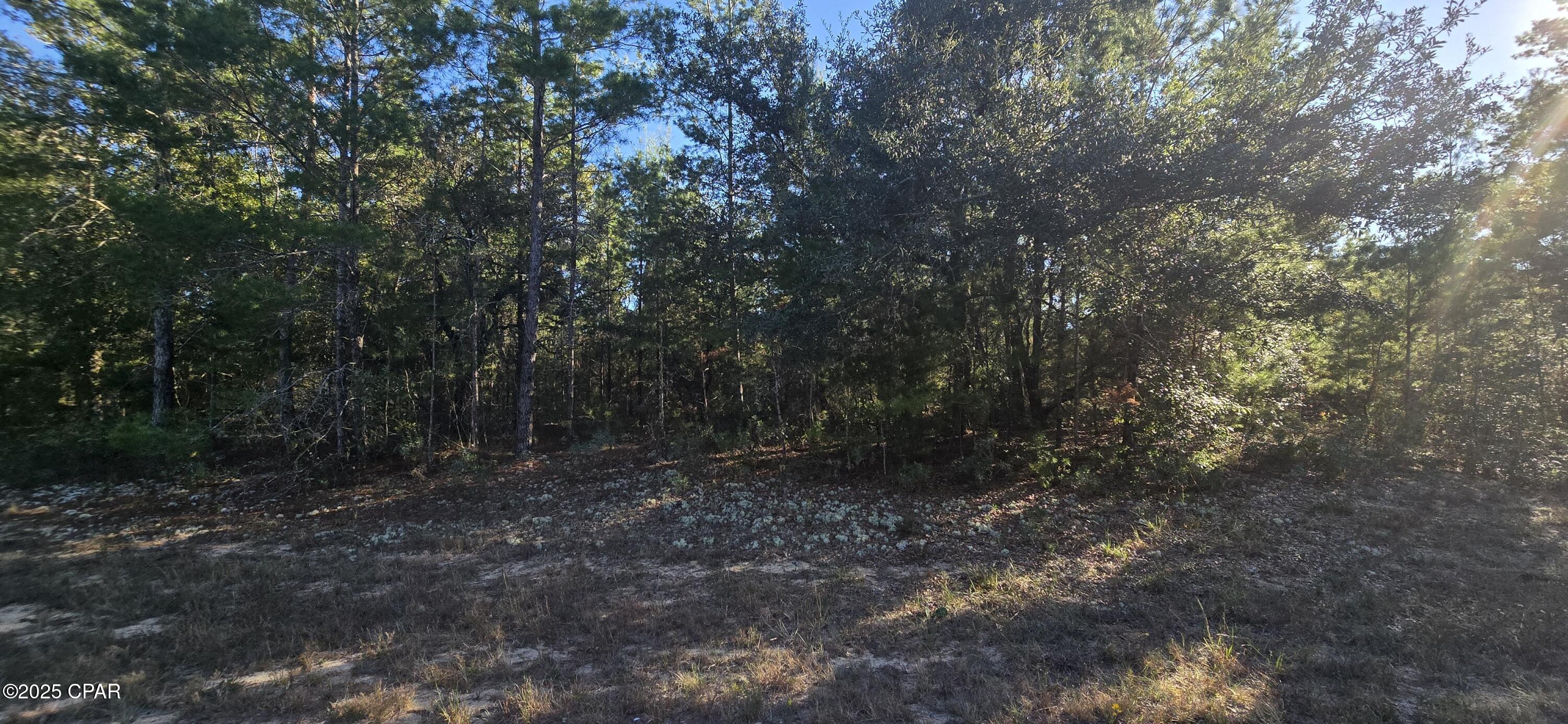 Sunny Hills Unit 3 - Land