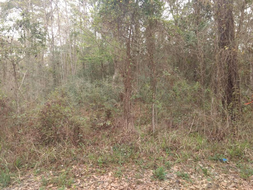 Nice wooded lot in the Caryville Camp Sites. Great for a weekend get a way place or you can live here full time.Not far from public boat landing on the Choctawhatchee River.