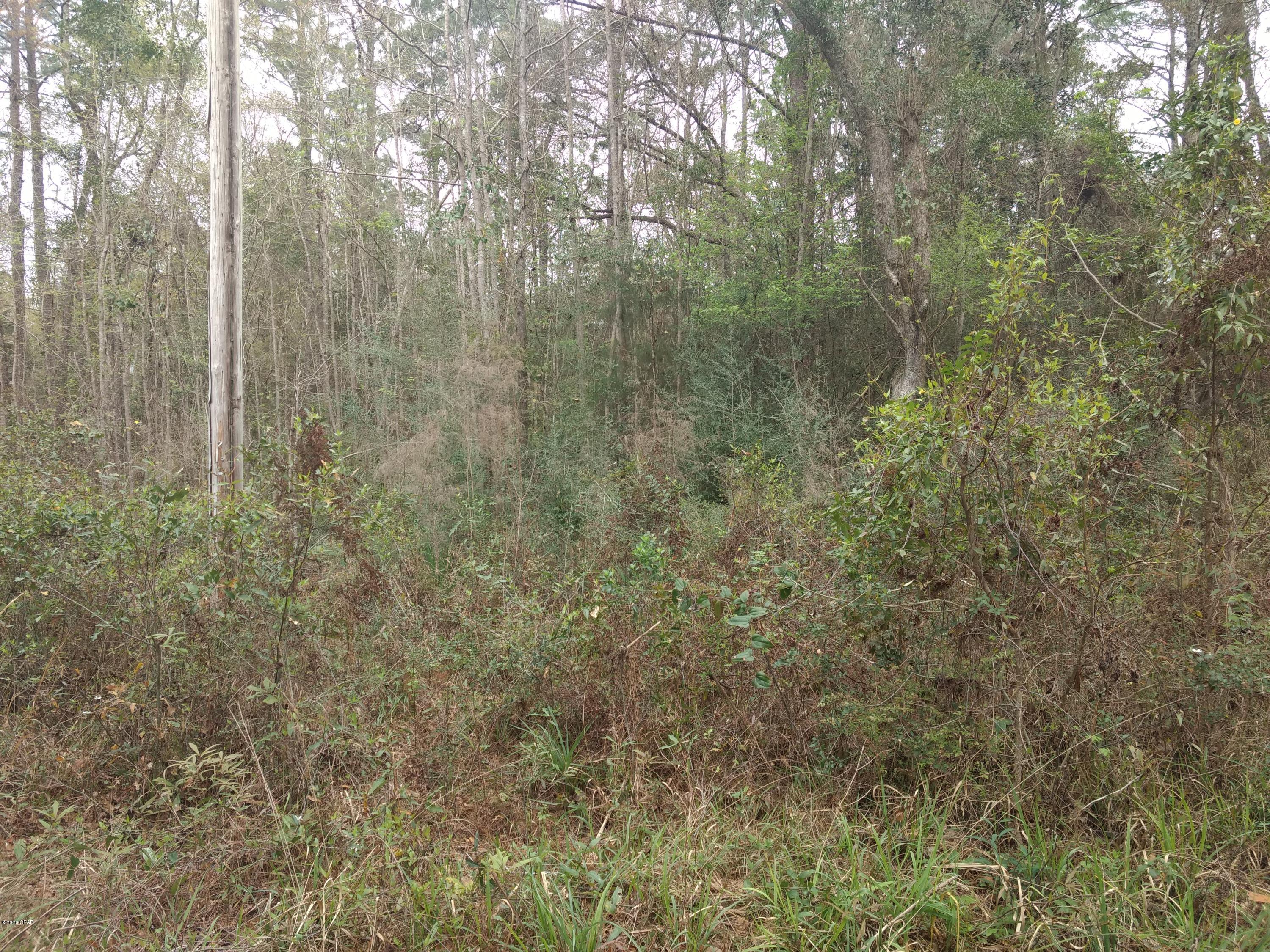 Caryville Campsites - Land