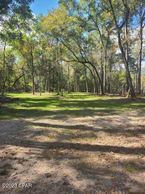 Dunford Haven - Land