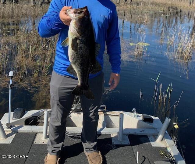 Dunford Haven - Land