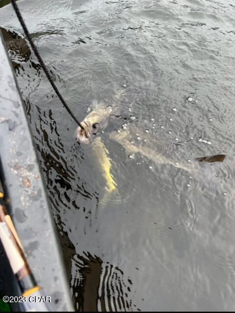 Dunford Haven - Land