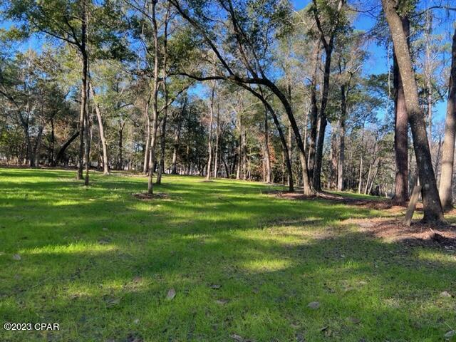 Dunford Haven - Land