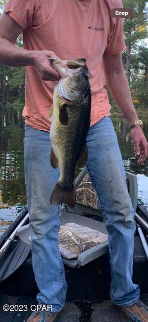 Dunford Haven - Land