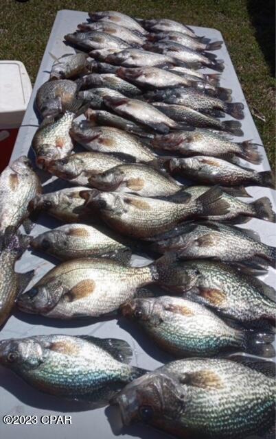 Dunford Haven - Land