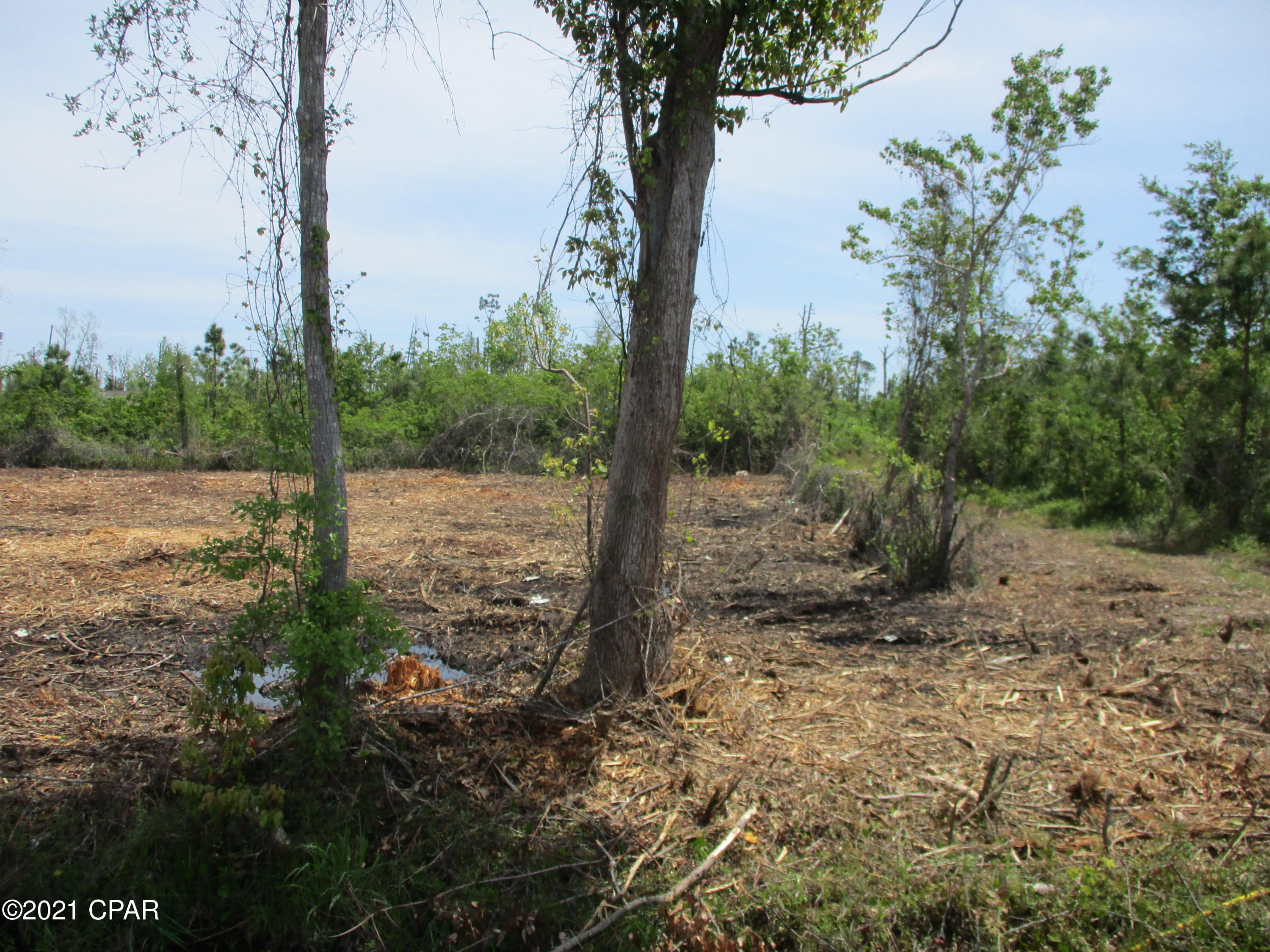 C A Taylor's 2nd Addition Calaway - Land