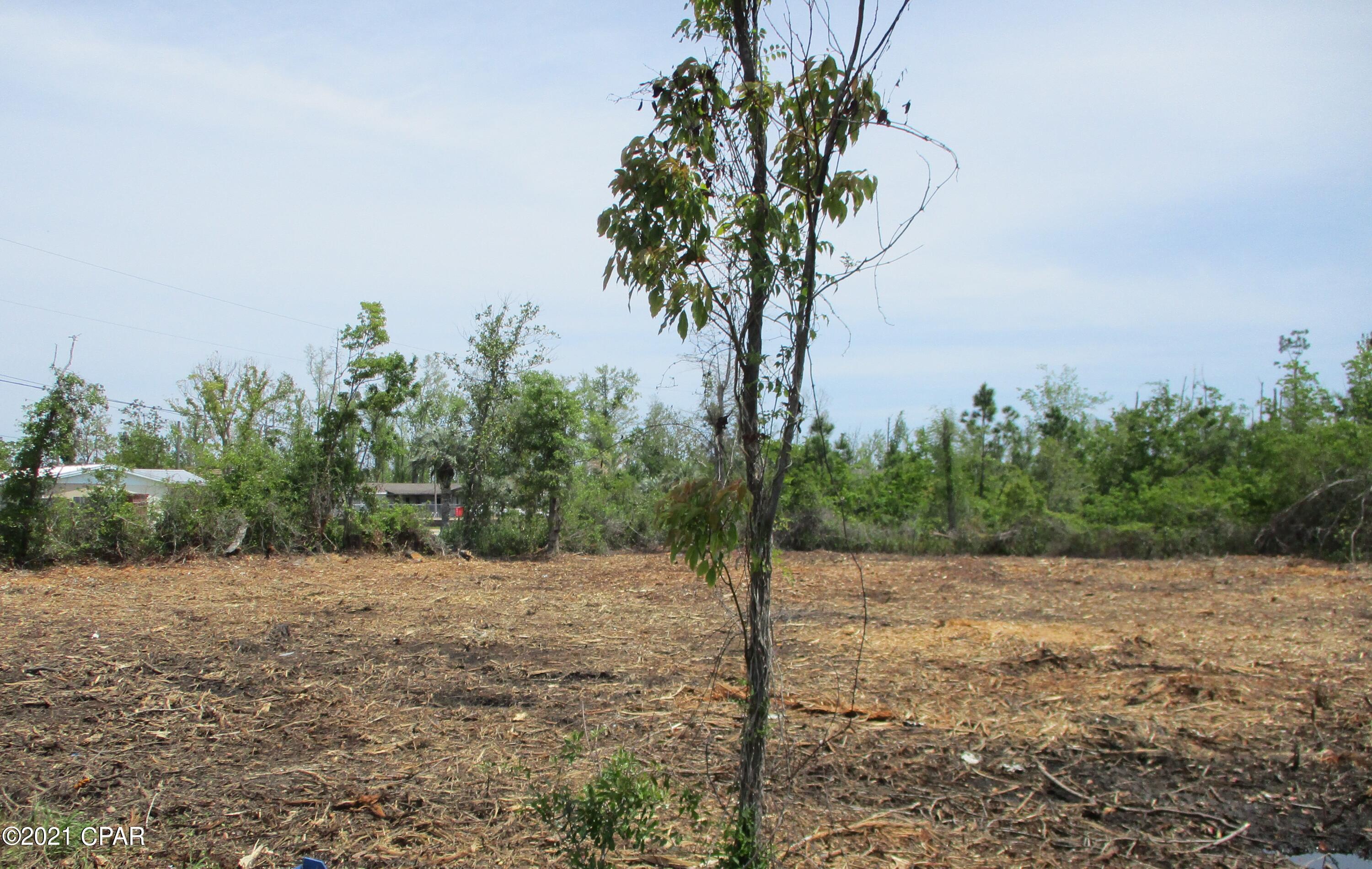 C A Taylor's 2nd Addition Calaway - Land