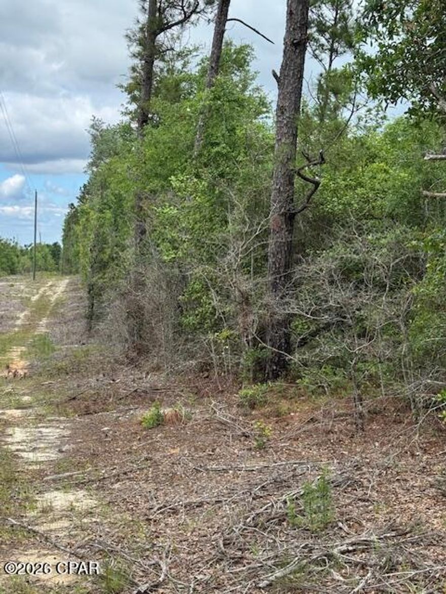 Enjoy quiet country living on this 5-acre wooded tract, perfect for a homesite or private retreat. The property has been surveyed (seller does not have a copy) and includes a deeded easement for access. Located just a few miles from Hwy 231, you'll love the convenience while still feeling tucked away. Electric is available in the area, and the natural trees and landscape offer plenty of privacy. There is some debris on the property that will need cleanup, offering a great opportunity to customize the space to your liking. Come make this beautiful rural property your own!