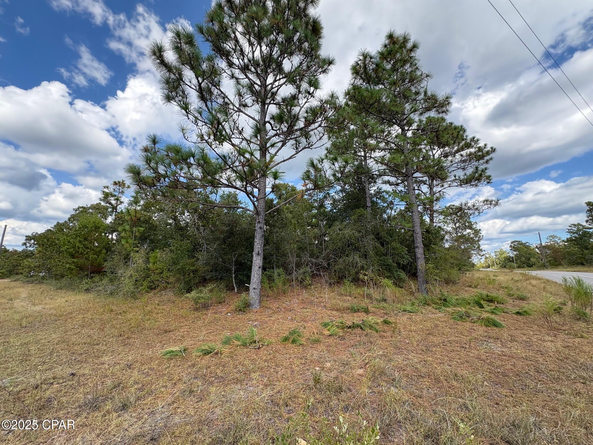 Sunny Hills Unit 6 - Land