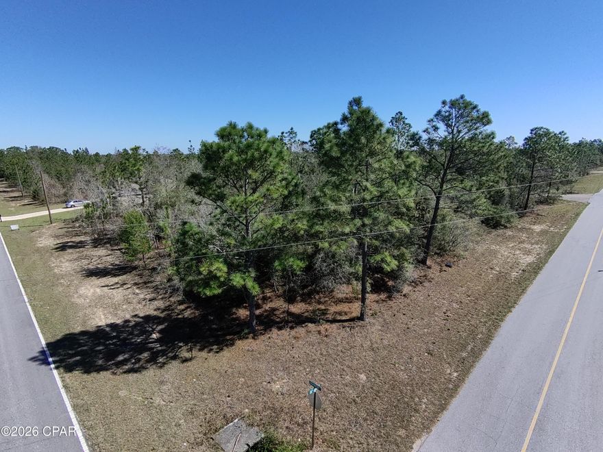 Welcome to your chance to own a tranquil slice of North Florida's natural beauty in the heart of Sunny Hills, near Chipley, Florida. This stunning 1/3 of an acre corner lot offers the perfect canvas for your custom dream home. In an area of brand new construction, this lot should check all the boxes for your new build -or- investment purchase. PUBLIC WATER AVAILABALE....CHECK! POWER AVAILABLE....CHECK! BEAUTIFUL ELEVATION SLIGHTLY ABOVE CROWN OF ROAD...CHECK! SPECIMEN TREES...CHECK!  CORNER LOT....CHECK! CLOSE TO ENTRANCE AT HWY 77... CHECK! ONE TURN OFF OF ELKCAM...CHECK! QUALITY PAVED ROADS AT BOTH WASHINGTON AND RICHMOND...CHECK! NICE NEW HOMES IN AREA...CHECK! You won't find a better building lot at a better price with seller paying closing costs. *** Seller is a licensed Florida real estate agent and owner of LOT ***