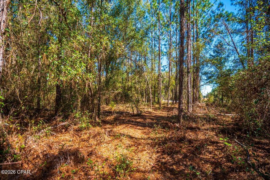 Located in Fort White, FL, this 9.67-acre wooded tract offers an exceptional opportunity to establish a private homesite with room to grow. With approximately 0.6 miles of frontage along Florida State Road 47, the property provides convenient access while allowing ample depth to position a residence set back from the roadway for privacy. The natural landscape offers flexibility for a custom home, estate setting, or small homestead in a quiet, small-town environment.
Fort White is positioned between Lake City (25 miles north) and Gainesville (30 miles south), providing convenient regional access while maintaining a small-town setting. The property is just 0.5 miles from South Columbia Sports Park and near multiple rivers, springs, and state parks that support consistent recreation-driven traffic and year-round outdoor activity. Residents benefit from a close-knit community atmosphere while remaining within comfortable reach of expanded shopping, dining, higher education, and medical facilities.
Beyond its residential appeal, the property also presents strong commercial potential. The extensive highway frontage along SR 47 offers visibility and accessibility suitable for service-based businesses, convenience retail, storage development, outdoor recreation support, contractor operations, or professional offices. Currently designated agricultural land, the tract provides flexibility for future planning as the corridor continues to serve both local residents and visitors traveling through the area.
Whether developed as a primary residence, a live-work concept, or a strategic commercial investment, this property combines scale, frontage, and location in one of Columbia County's well-positioned rural communities.
Key Features
• 9.67 wooded acres
• Approx. 0.6 miles of SR 47 frontage
• 0.5 miles to South Columbia Sports Park
• 25 miles to Lake City | 30 miles to Gainesville
• Near rivers, springs, and state parks
• Residential, live-work, or commercial potential
