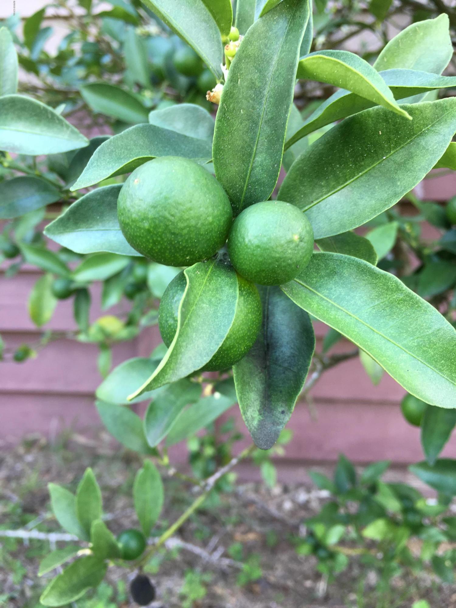 Compass Lake Hills Unit 5 - Residential