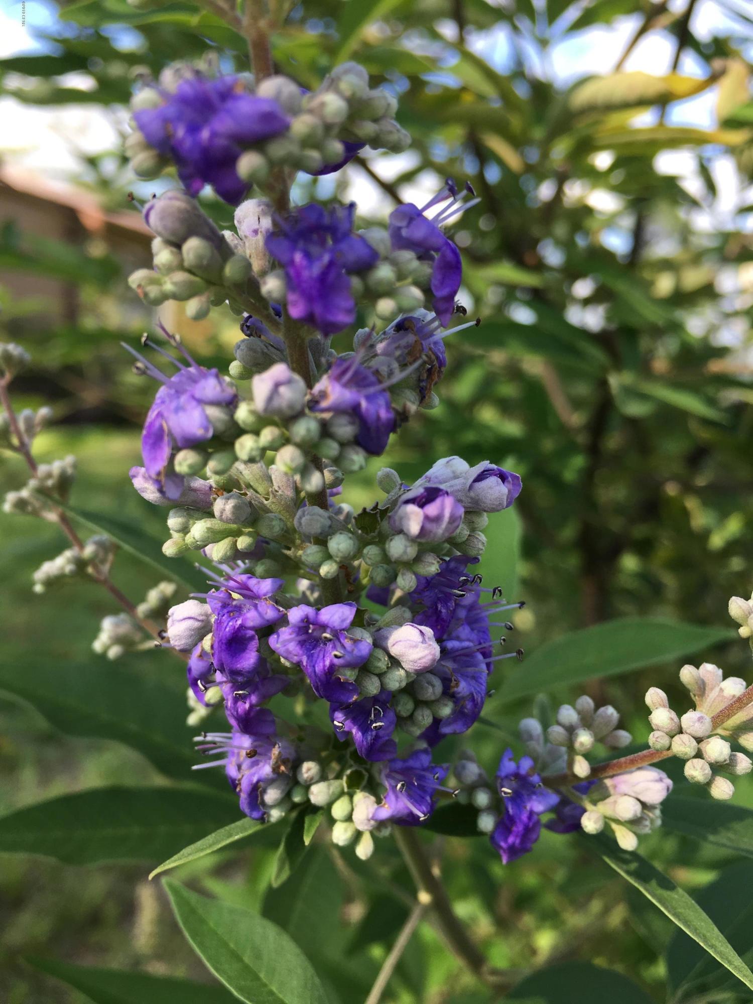 Compass Lake Hills Unit 5 - Residential